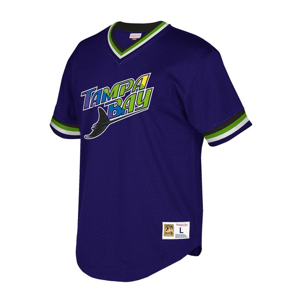 Tampa Bay Rays Mitchell & Ness Mesh V-Neck Purple – Exclusive Fitted Inc.