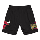 Mitchell & Ness Chicago Bulls 1998 NBA Finals Pack Shorts