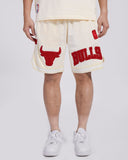 Off White Chicago Bulls Pro Standard Tonal Shorts