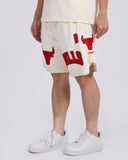 Off White Chicago Bulls Pro Standard Tonal Shorts