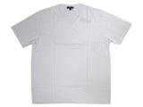Ice White CITYLAB USA Premium Pre Shrunk T-Shirt, V Neck