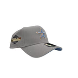 Light Gray Houston Astros Curved Brim Icy Blue Bottom 2005 World Series Side Patch New Era 9Forty Snapback