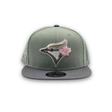 Everest Green Toronto Blue Jays Gray Visor Pink Bottom 30th Anniversary Side Patch New Era 9Fifty Snapback