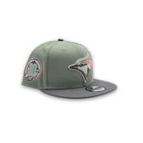 Everest Green Toronto Blue Jays Gray Visor Pink Bottom 30th Anniversary Side Patch New Era 9Fifty Snapback