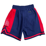 Navy Blue Los Angeles Angels Pro Standard Retro Classic DK 2.0 Shorts