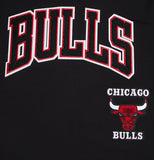 Black Chicago Bulls Retro Classic SJ Striped T-Shirt