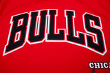 Red Chicago Bulls Retro Classic SJ Striped T-Shirt