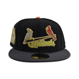 Black St. Louis Cardinals Gray Bottom