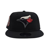 Black Toronto Blue Jays Gray Bottom 30th Season Side Patch New Era 9fifty Snapback