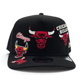 Black Chicago Bulls Curved Brim Gray Bottom Hardwood Classic Patches New Era 9Fifty A-Frame Snapback
