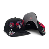 Black Toronto Raptors Curved Brim Gray Bottom Hardwood Classic Patches New Era 9Fifty A-Frame Snapback