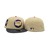 Vegas Gold Chicago Cubs Dark Gray Visor Gray Bottom Be Alert Foul Balls Side Patch New Era 59Fifty Fitted