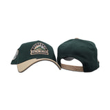 Dark Green Colorado Rockies Camel Curved Brim Gray Bottom 1993 Inaugural Year Side Patch New Era 9Forty Snapback