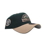 Dark Green Colorado Rockies Camel Curved Brim Gray Bottom 1993 Inaugural Year Side Patch New Era 9Forty Snapback