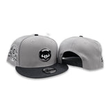 Gray Chicago Cubs Dark Gray Visor Gray Bottom 1990 All Star Game Side Patch New Era 9Fifty Snapback