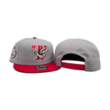 Gray Toronto Blue Jays Red Visor Gray Bottom 30th Season Side Patch New Era 9Fifty Snapback