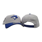 Gray Toronto Blue Jays Royal Blue Curved Brim Gray Bottom 30th Season Side Patch New Era A-Frame 9Forty Snapback