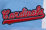 Sky Blue St. Louis Cardinals Pro Standard Retro Classic DK 2.0 Shorts