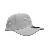 Light Gray Toronto Blue Jays Curved Brim Gray Bottom 40th Season Side Patch New Era 9Forty Snapback