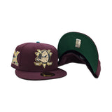 Maroon Anaheim Mighty Ducks Green Bottom Mighty Decade 10th Anniversary Side Patch New Era 59Fifty Fitted