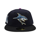 Navy Blue San Jose Sharks Fitted