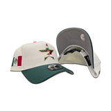 Off White Houston Astros Green Visor Curved Brim Gray Bottom Mexico Flag Side Patch New Era 9Forty A-Frame Snapback