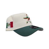 Off White Houston Astros Green Visor Curved Brim Gray Bottom Mexico Flag Side Patch New Era 9Forty A-Frame Snapback