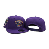 Purple Arizona Diamondbacks Gray Bottom 1998 Inaugural Season Side Patch New Era 9Fifty Snapback