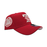 Red Toronto Blue Jays Curved Brim Pink Bottom 30th Season Side Patch "Valentines Day Collection" New Era 9Forty Snapback