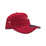 Red Toronto Blue Jays Curved Brim Gray Bottom 40th Season Side Patch New Era 9Forty Snapback