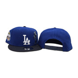 Royal Blue Los Angeles Dodgers Palm Tree Navy Blue Visor Gray Bottom 40th Anniversary Side Patch New Era 9Fifty Snapback