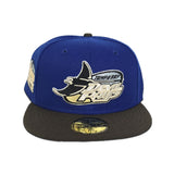 Royal Blue Tampa Bay Rays Black Visor Gray Bottom Tropicana Field Side Patch New Era 59Fifty Fitted