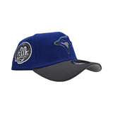 Royal Blue Toronto Blue Jays Dark Gray Curved Brim Gray Bottom 30th Season Side Patch New Era A-Frame 9Forty Snapback