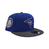 Royal Blue Toronto Blue Jays Dark Gray Visor Gray Bottom 30th Anniversary Side Patch New Era 9Fifty Snapback