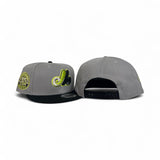 Light Gray Montreal Expos Black Visor Gray Bottom 35th Anniversary Side Patch 9Fifty New Era Snapback