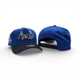 Royal Blue St. Louis Cardinals Curved Navy Blue Brim Gray Bottom 2009 World Series Side Patch New Era A-Frame 9Forty Snapback