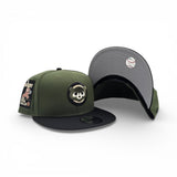 Rifle Green Chicago Cubs Black Visor Gray Bottom Be Alert Foul Balls Side Patch New Era 9Fifty Snapback