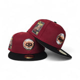 Brick Red Chicago Cubs Black Visor Gray Bottom Be Alert Foul Balls Side Patch New Era 59Fifty Fitted