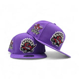 Purple Toronto Raptors Gray Bottom 1995-96 Inaugural Season Side Patch New Era 9Fifty A Frame Hardwood Classics Snapback