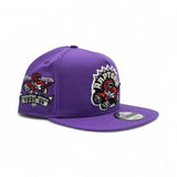 Purple Toronto Raptors Gray Bottom 1995-96 Inaugural Season Side Patch New Era 9Fifty A Frame Hardwood Classics Snapback
