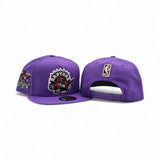 Purple Toronto Raptors Gray Bottom 1995-96 Inaugural Season Side Patch New Era 9Fifty A Frame Hardwood Classics Snapback