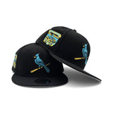 Matching Black St. Louis Cardinals Gray Bottom Busch Stadium Final Season Side Patch New Era 9Fifty Snapback For Gamma Blue 11
