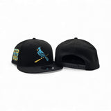 Matching Black St. Louis Cardinals Gray Bottom Busch Stadium Final Season Side Patch New Era 9Fifty Snapback For Gamma Blue 11