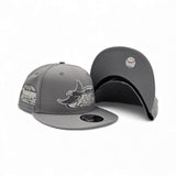 Gray Tampa Bay Rays Gray Bottom Tropicana Field Side Patch New Era 9Fifty Snapback