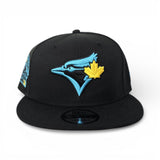Matching Black Toronto Blue Jays Dark Gray Visor Gray Bottom 30th Season Side Patch New Era 9fifty Snapback For Gamma Blue 11
