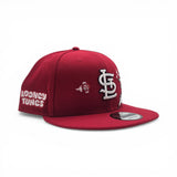 Red St. Louis Cardinals Gray Bottom Looney Tunes Bugs Bunny 9Fifty Snapback