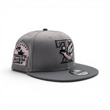 Gray Toronto Blue Jays Storm Gray Visor Pink Bottom 1991 All Star Game Side Patch New Era 9Fifty Snapback