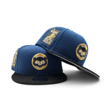 Seashore Blue Chicago Cubs Black Visor Gray Bottom Be Alert Foul Balls Side Patch New Era 9Fifty Snapback