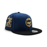 Seashore Blue Chicago Cubs Black Visor Gray Bottom Be Alert Foul Balls Side Patch New Era 9Fifty Snapback