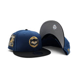 Seashore Blue Chicago Cubs Black Visor Gray Bottom Be Alert Foul Balls Side Patch New Era 9Fifty Snapback